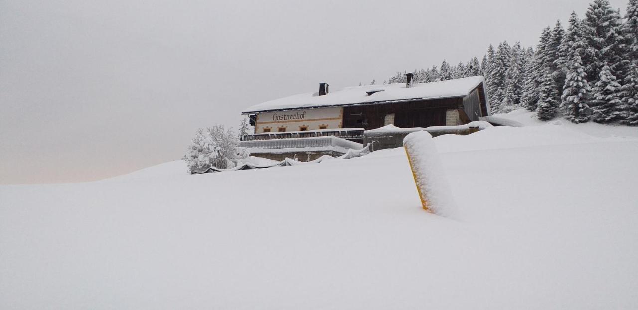 Gostnerhof Appartement Toblach Buitenkant foto