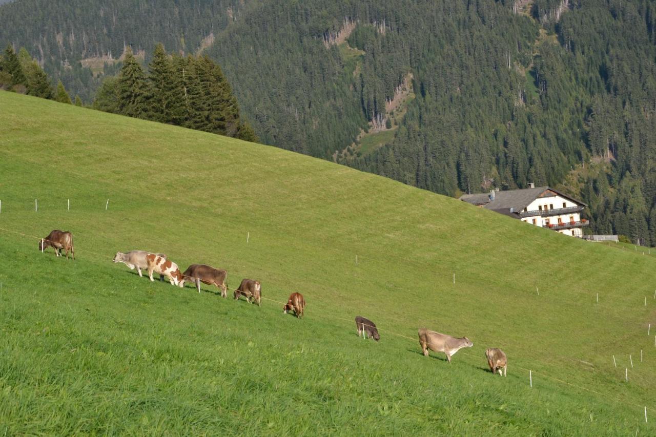Gostnerhof Appartement Toblach Buitenkant foto